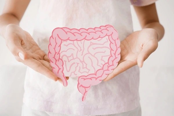 From Bloating to Brain Fog: How Your Gut Health Affects Everything