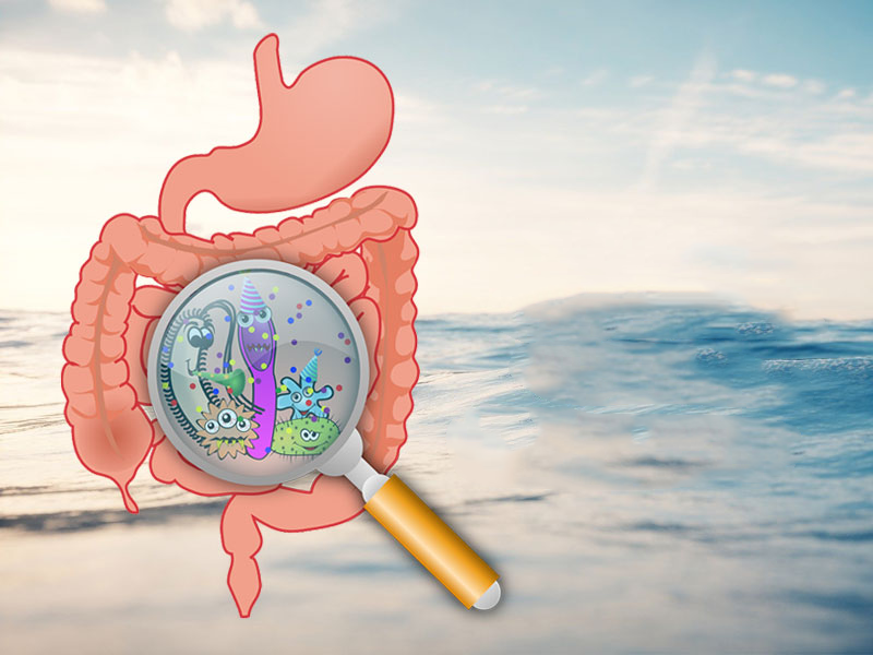 What Happens to Your Weight When You Heal Your Gut? Real Stories & Indian Transformations