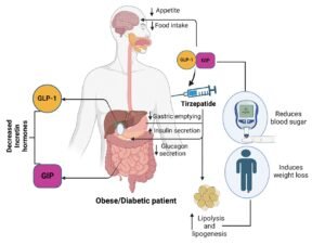 Mounjaro (Tirzepatide): A Transformative Approach to Diabetes and Weight Loss