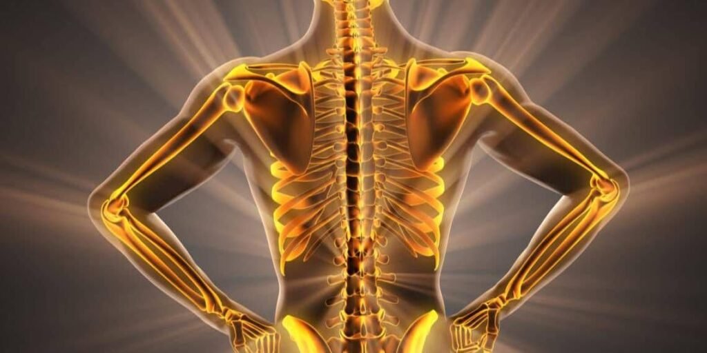 Bone Pain Beyond Calcium: The Role of Vitamin D, B12, and K2