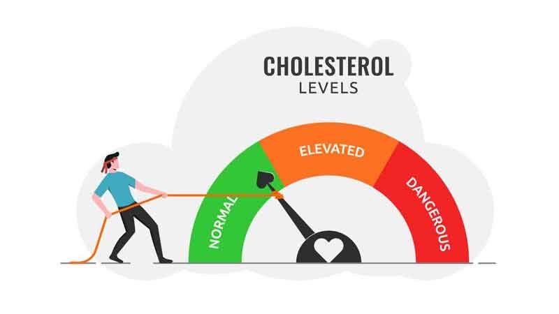 High Cholesterol Can Affect Your Whole Body: How Functional Medicine and Diet Play an Important Role